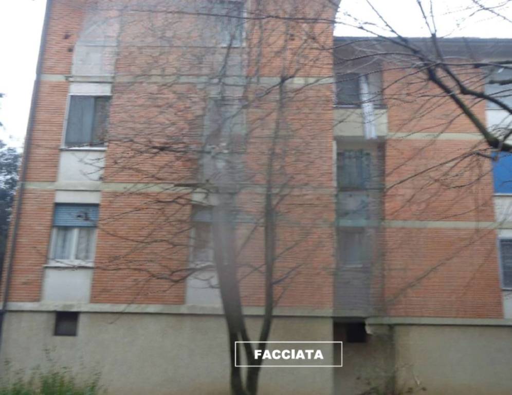 immagine annuncio 4 di 12