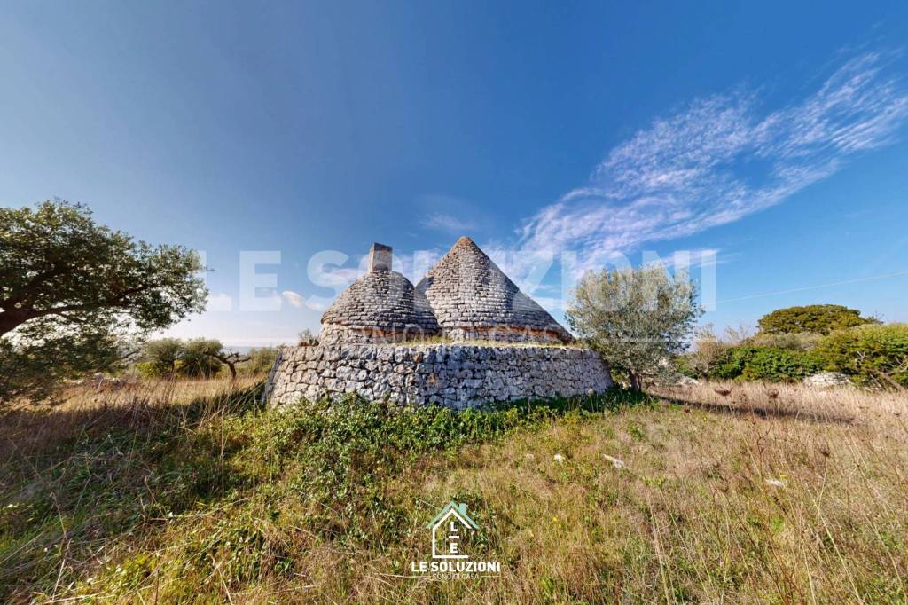 immagine annuncio 9 di 13