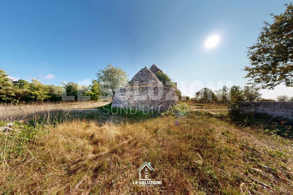 immagine annuncio 10 di 13