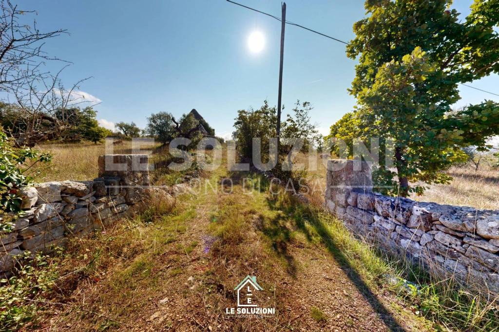 immagine annuncio 11 di 13