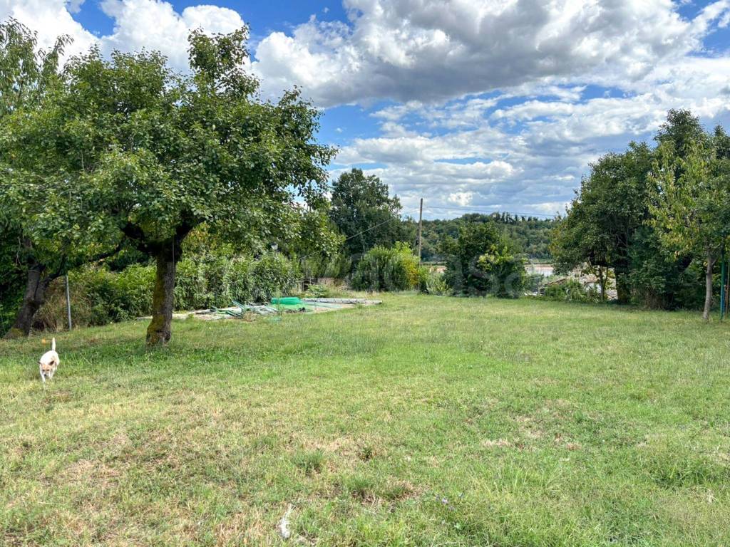 immagine annuncio 10 di 15