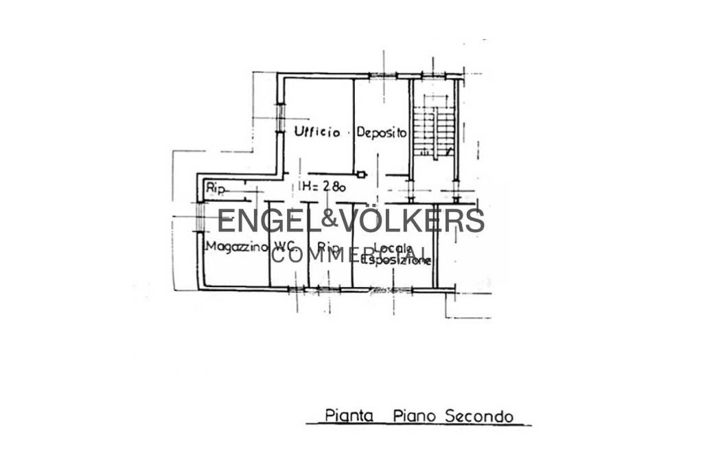 immagine annuncio 6 di 7