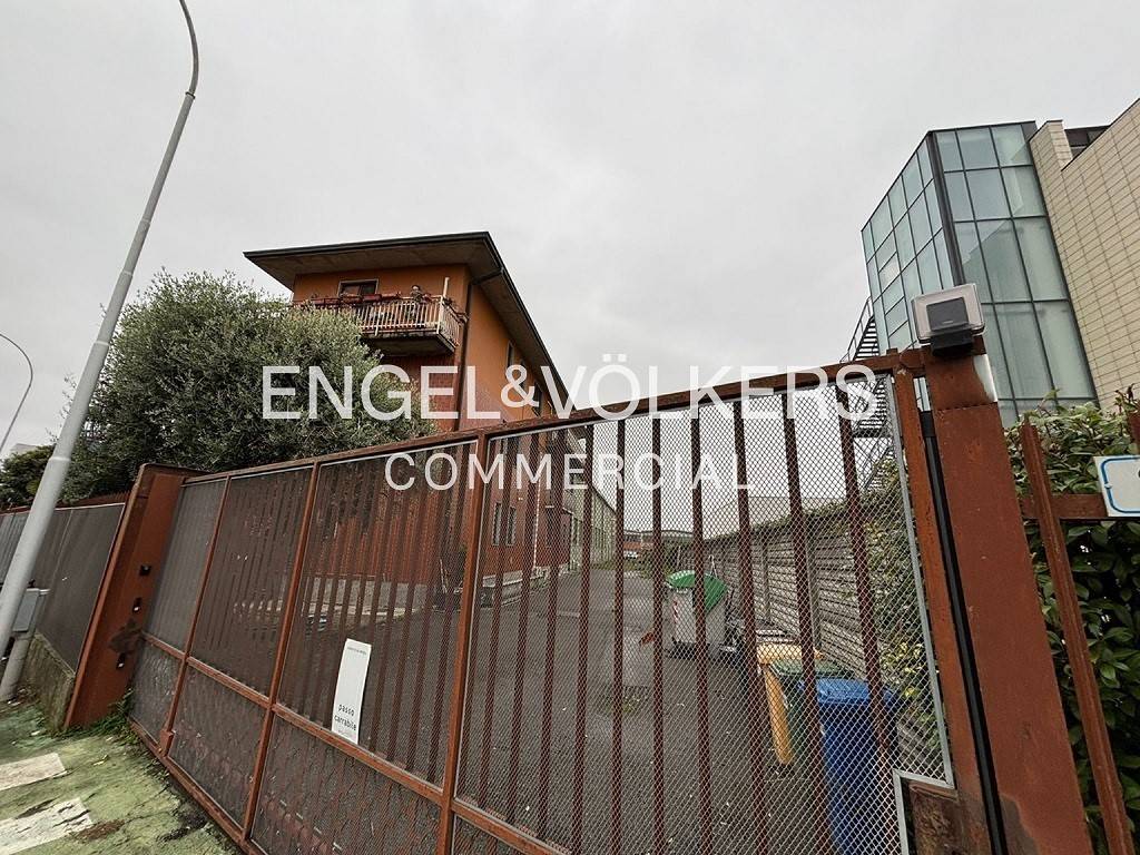 immagine annuncio 4 di 7