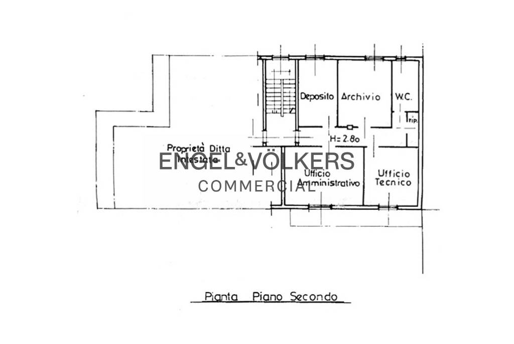 immagine annuncio 5 di 7