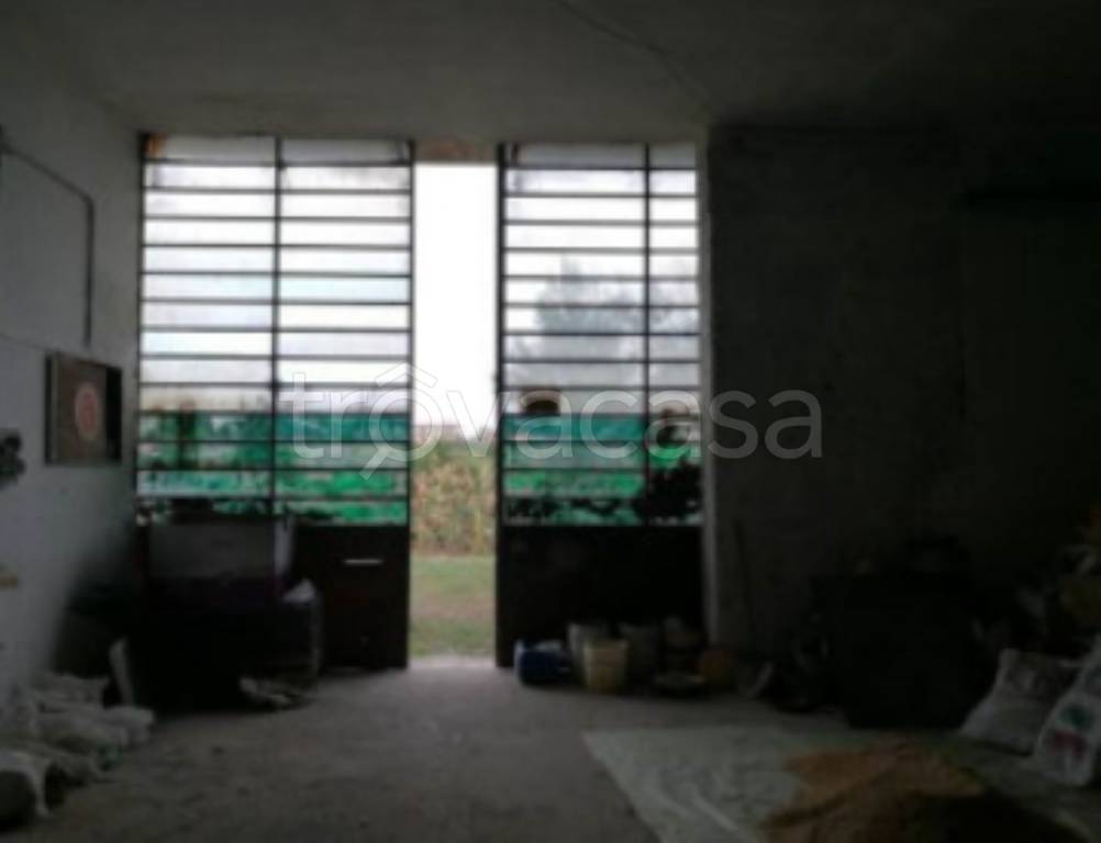 immagine annuncio 6 di 12