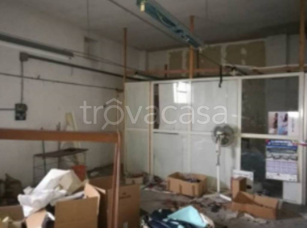 immagine annuncio 7 di 12