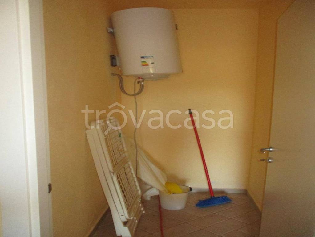 immagine annuncio 9 di 13