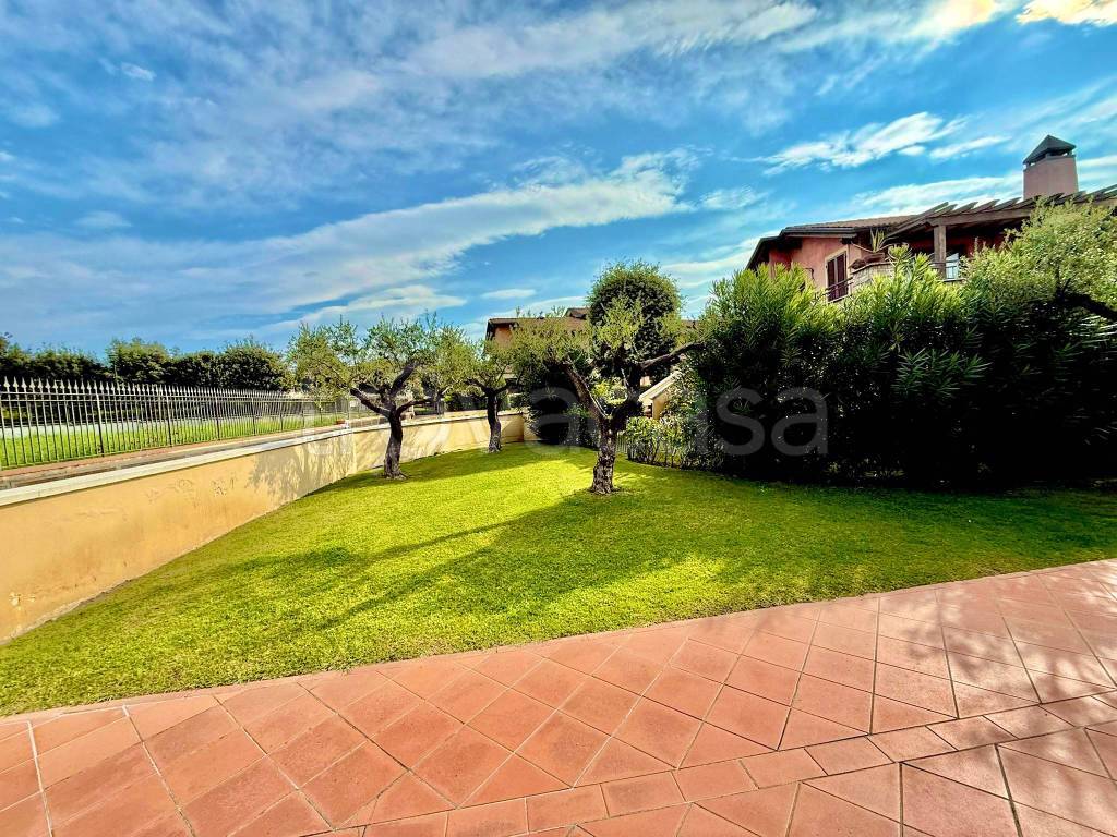 immagine annuncio 1 di 14