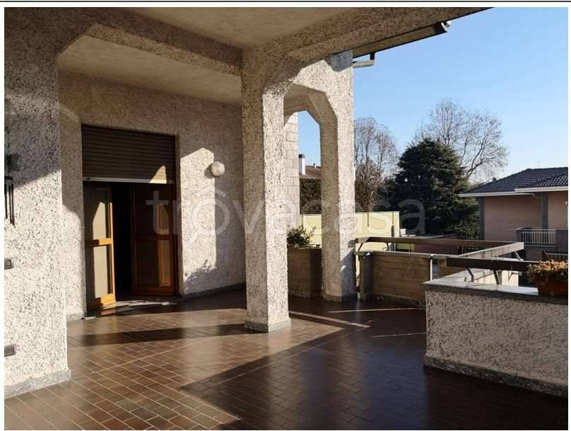 immagine annuncio 12 di 15