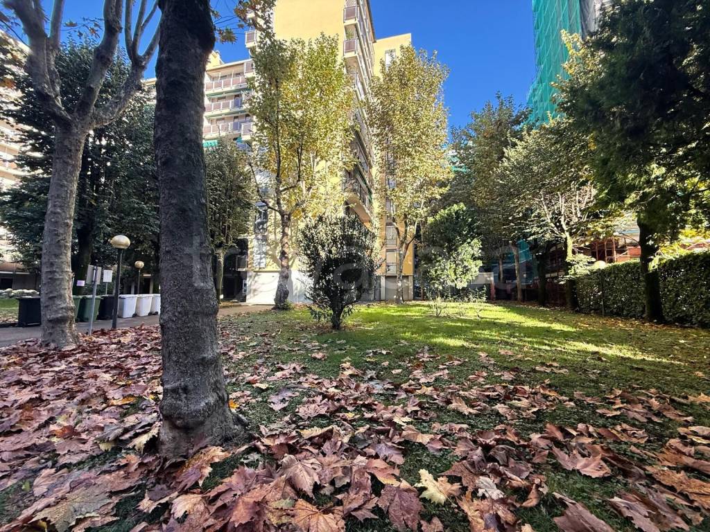 immagine annuncio 5 di 8