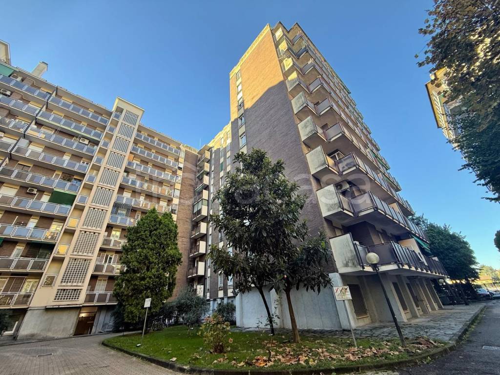 immagine annuncio 3 di 8