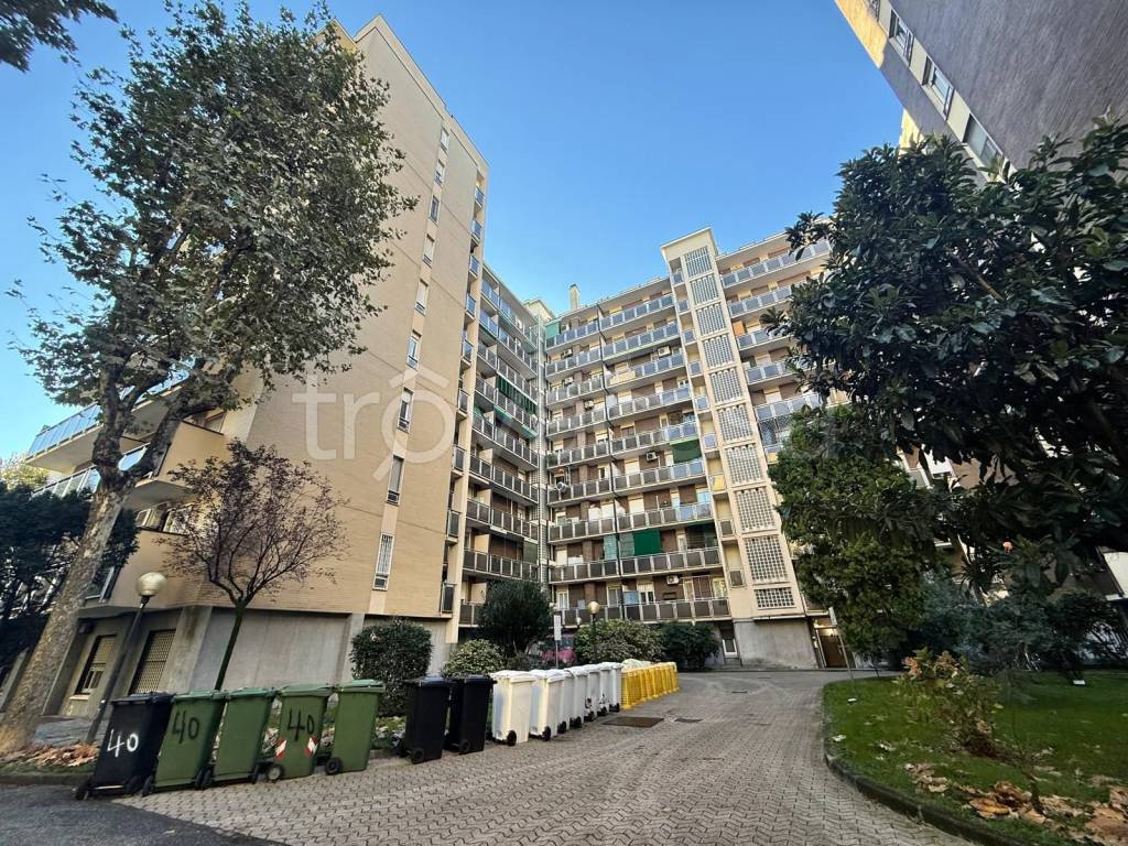 immagine annuncio 4 di 8