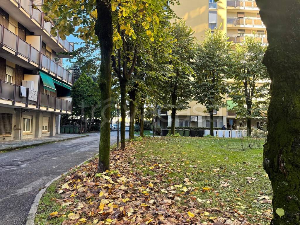 immagine annuncio 7 di 8