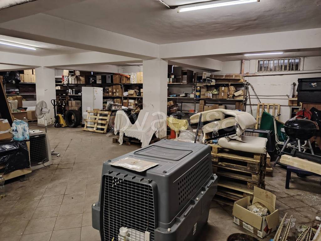 immagine annuncio 9 di 12