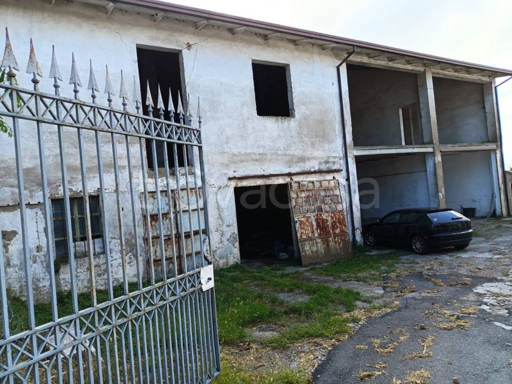 immagine annuncio 9 di 11