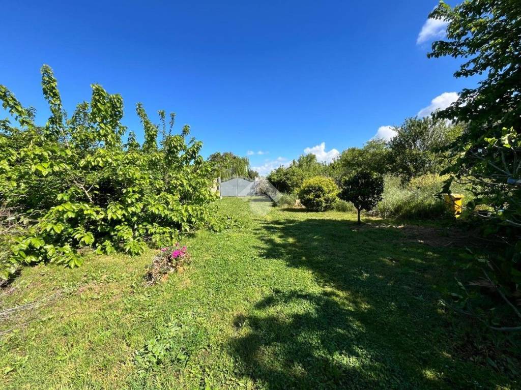 immagine annuncio 1 di 7