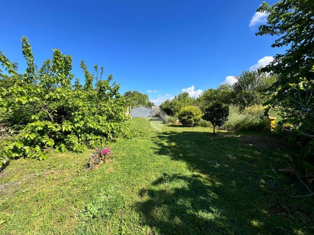 immagine annuncio 2 di 7