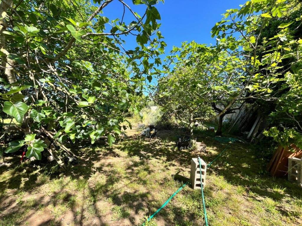 immagine annuncio 6 di 7