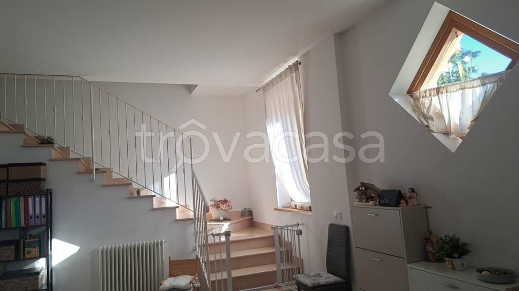 immagine annuncio 2 di 9