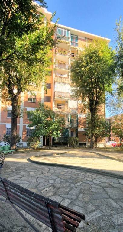 immagine annuncio 12 di 15