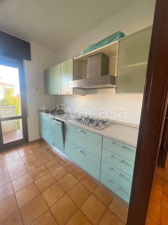 immagine annuncio 3 di 14