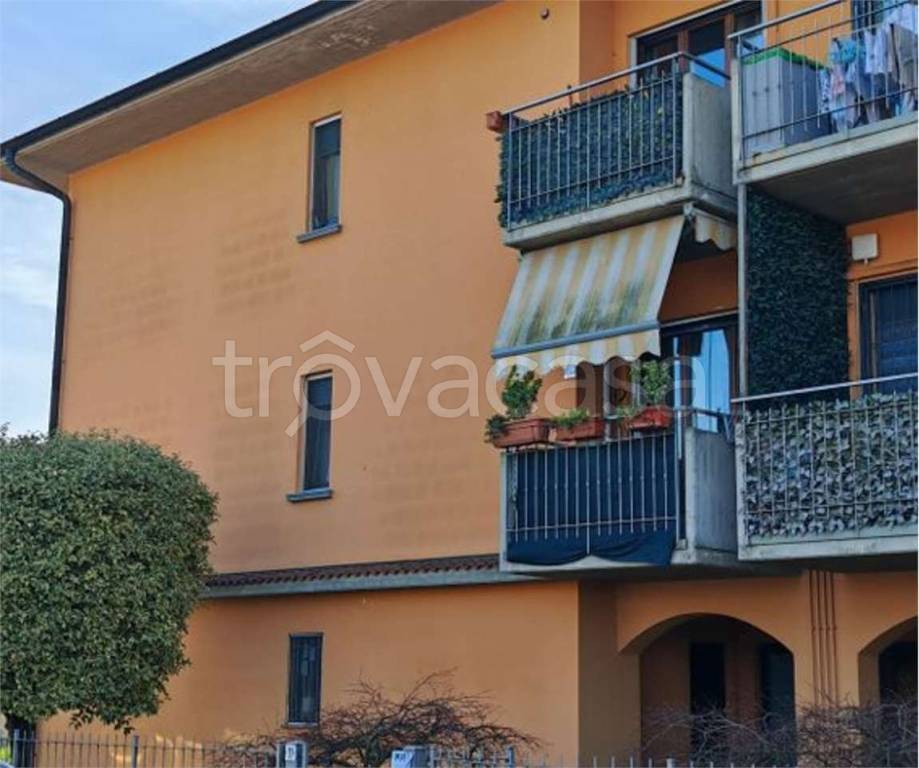 immagine annuncio 2 di 14