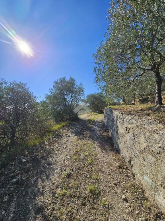 immagine annuncio 4 di 14