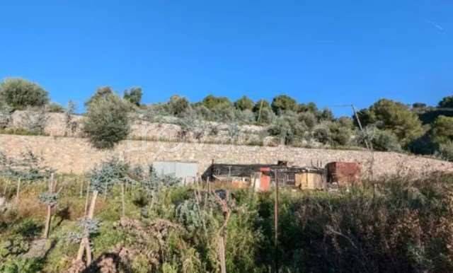 immagine annuncio 1 di 4