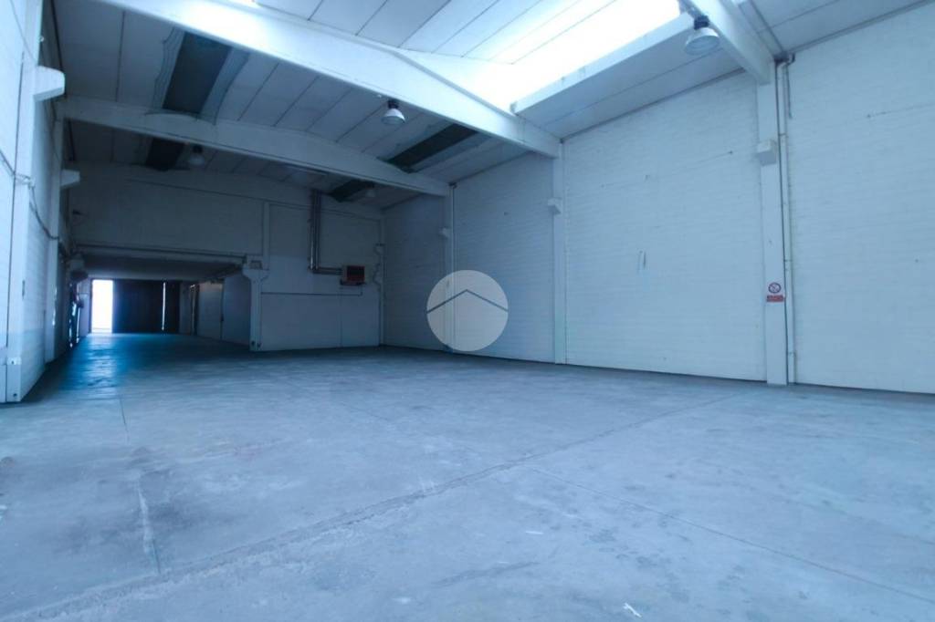 immagine annuncio 2 di 8