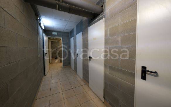 immagine annuncio 4 di 8