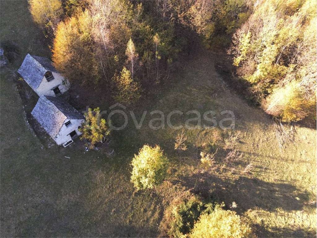 immagine annuncio 3 di 13