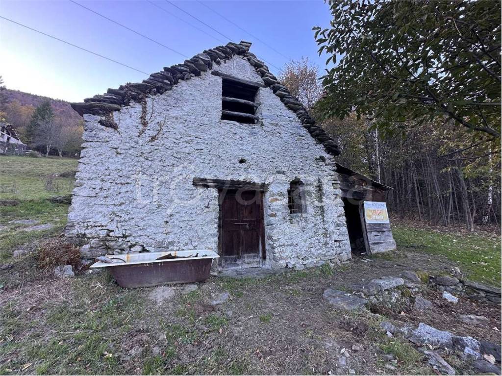 immagine annuncio 11 di 13