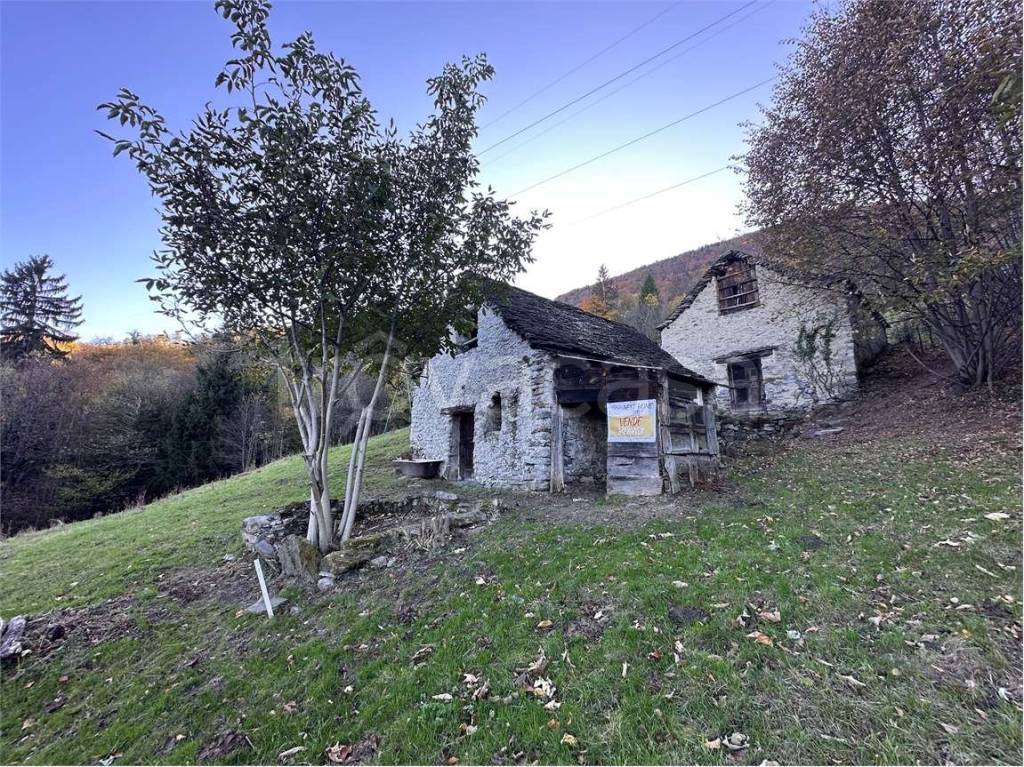 immagine annuncio 12 di 13