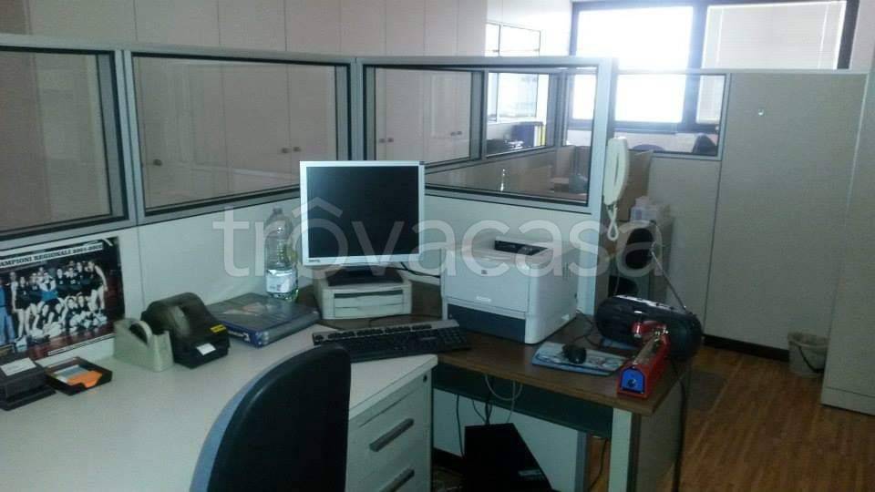 immagine annuncio 4 di 9