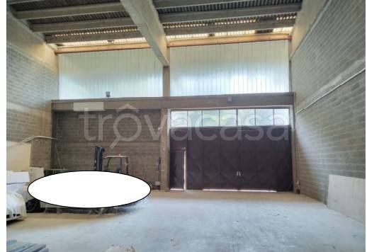 immagine annuncio 5 di 9