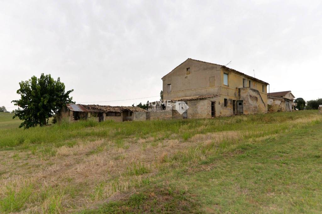 immagine annuncio 4 di 12