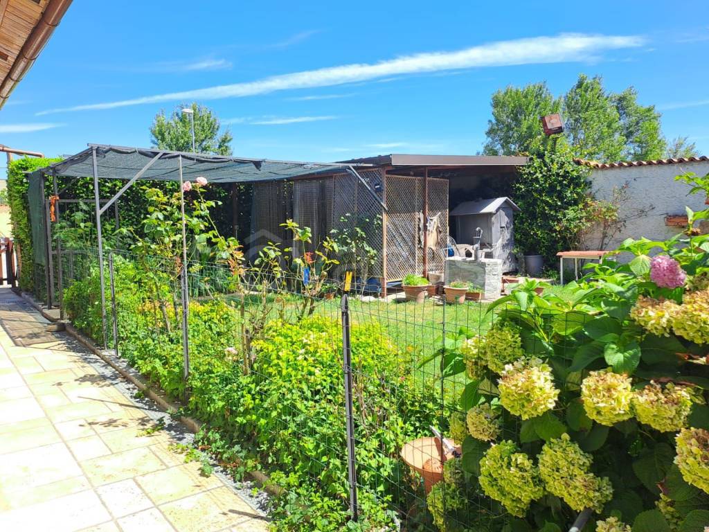 immagine annuncio 9 di 15