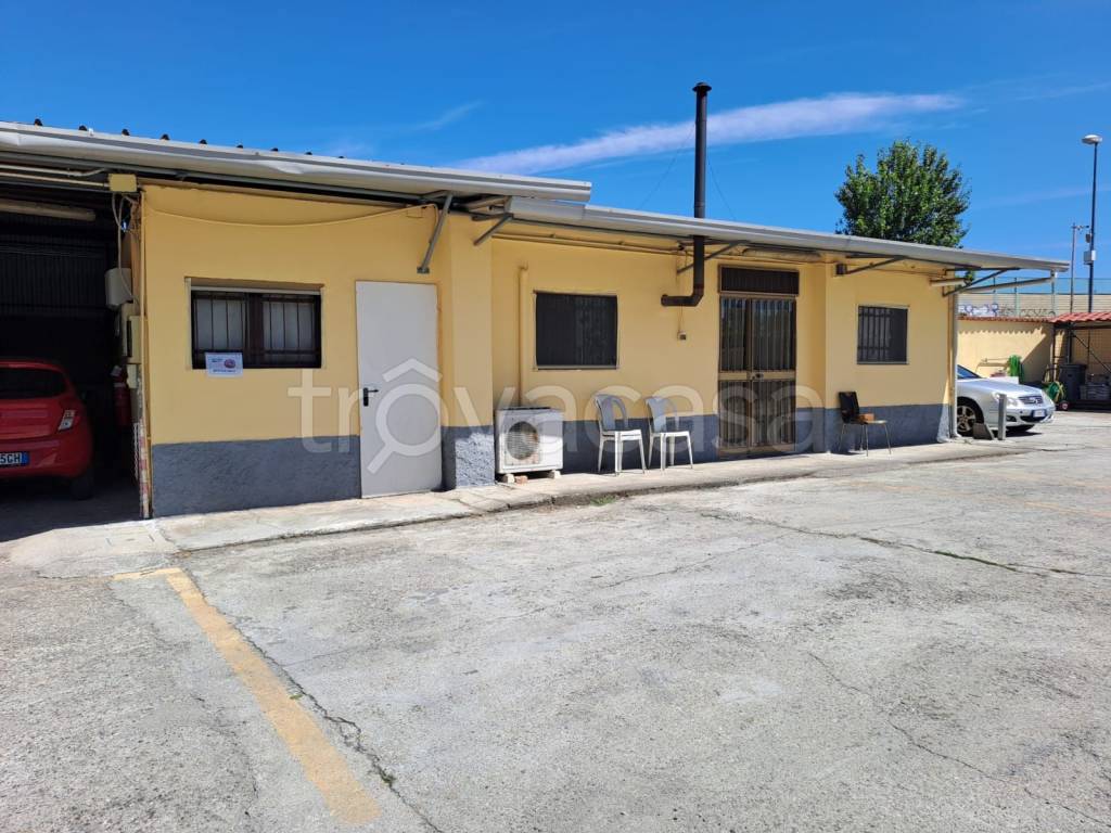 immagine annuncio 11 di 15