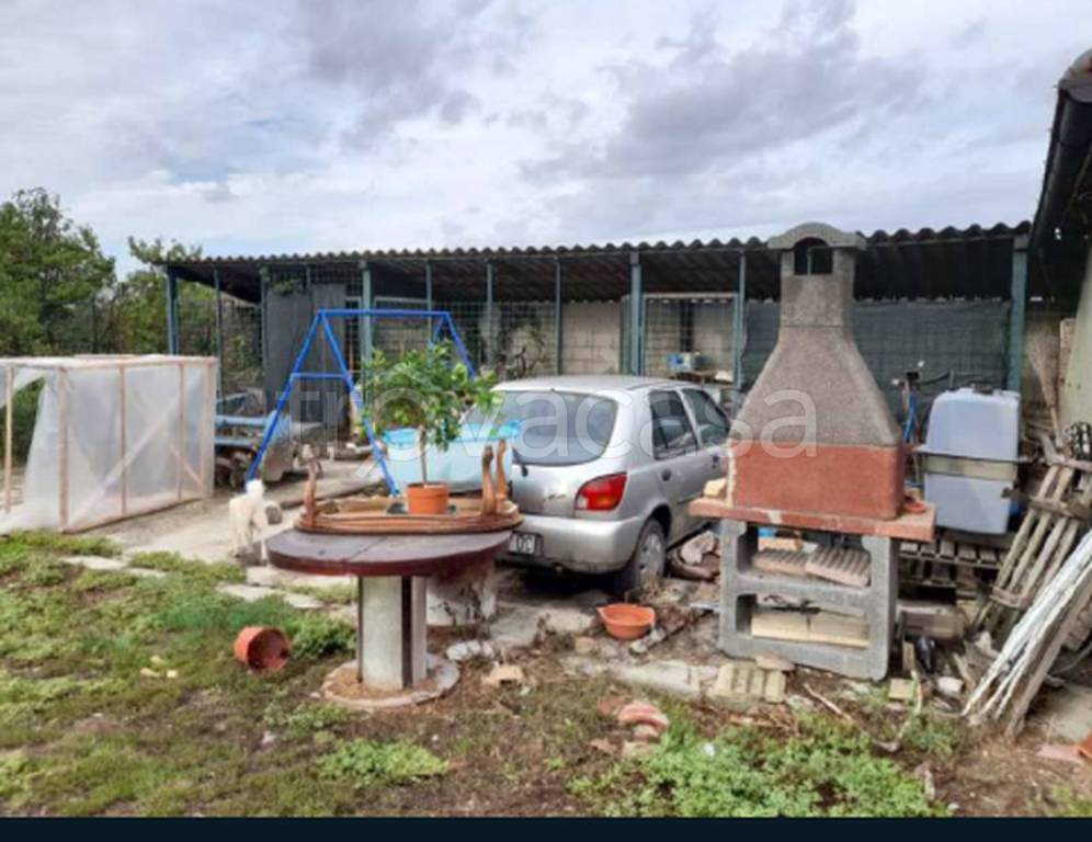 immagine annuncio 7 di 11