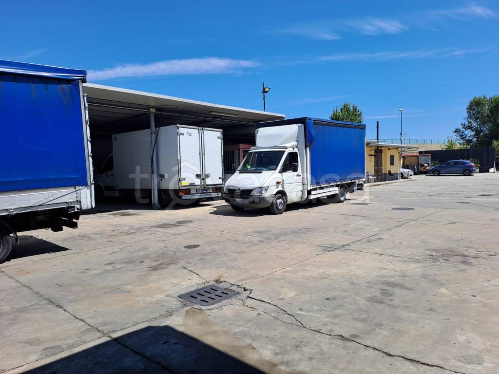 immagine annuncio 14 di 15