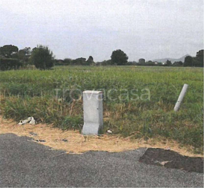 immagine annuncio 7 di 14