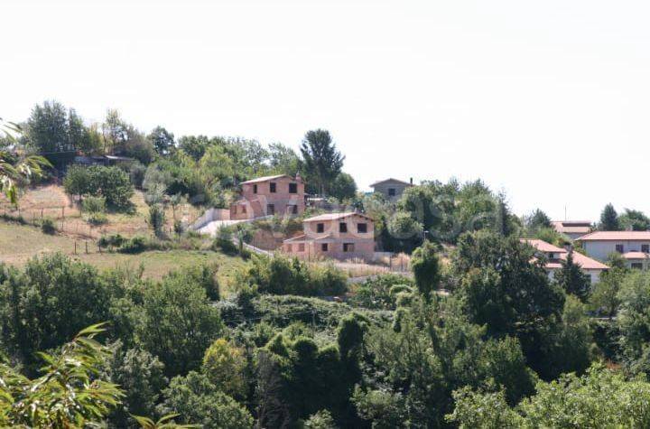 immagine annuncio 11 di 14