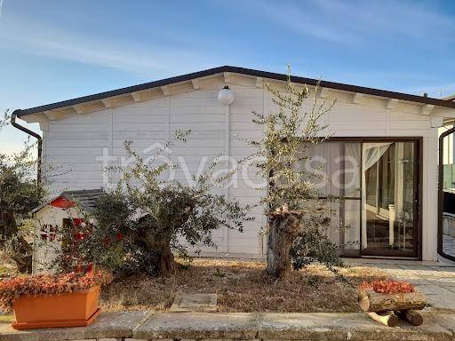 immagine annuncio 2 di 7