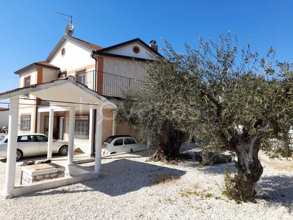 immagine annuncio 6 di 7