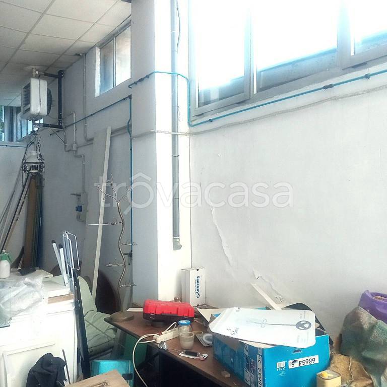 immagine annuncio 4 di 7