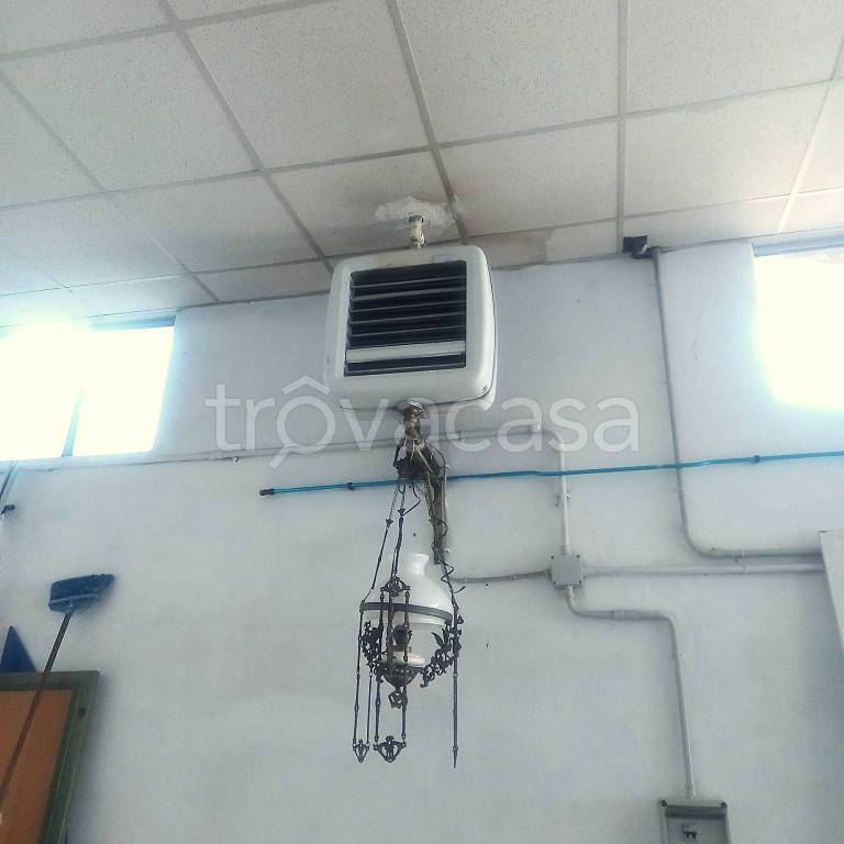 immagine annuncio 5 di 7