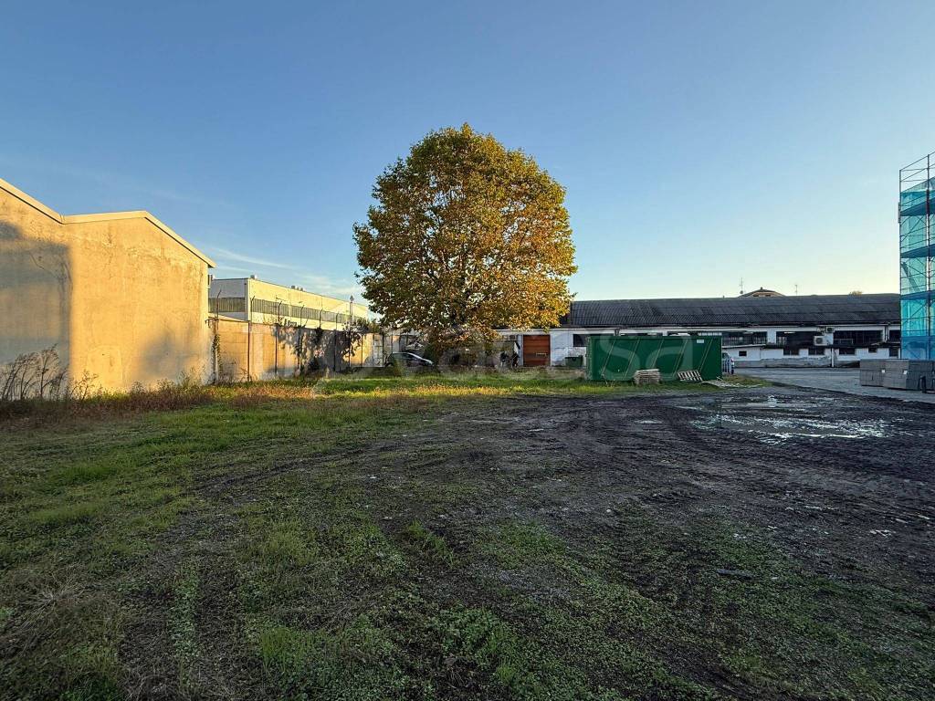 immagine annuncio 10 di 15