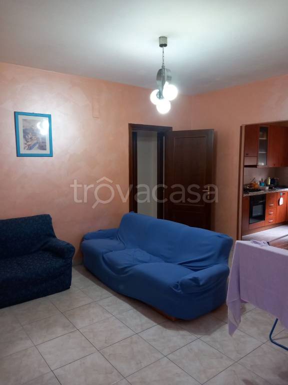 immagine annuncio 3 di 14