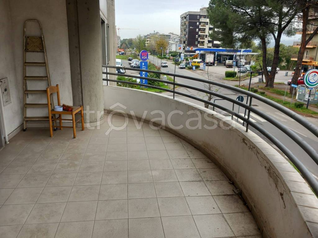 immagine annuncio 11 di 14