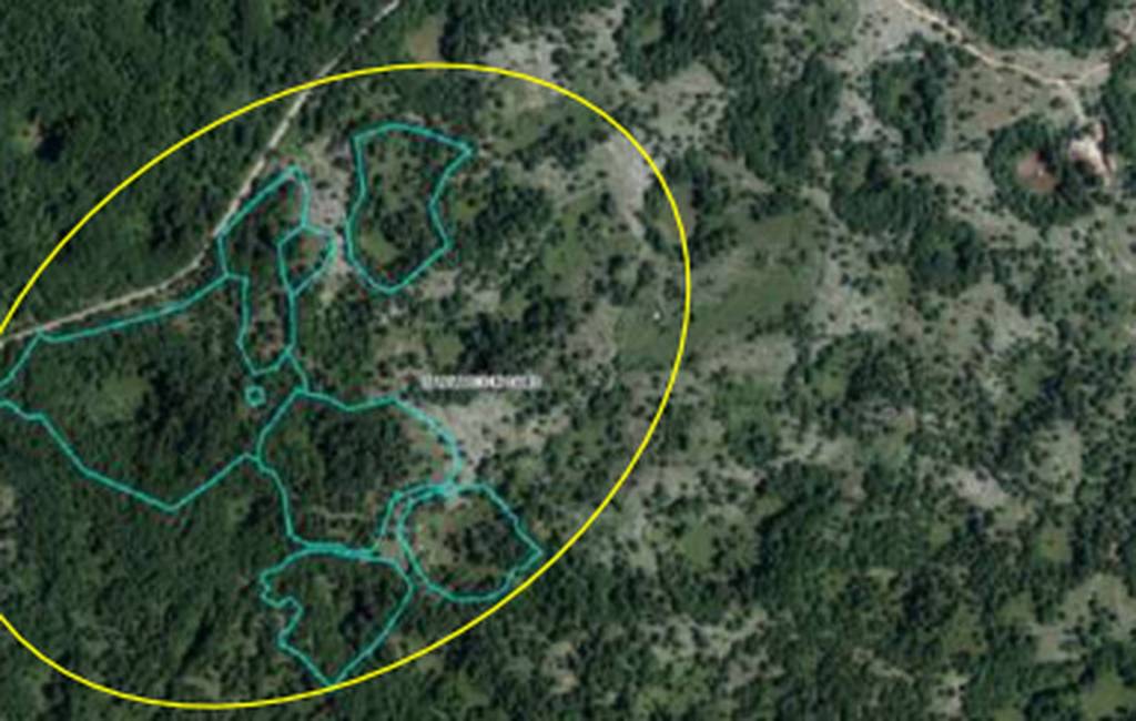 immagine annuncio 6 di 10